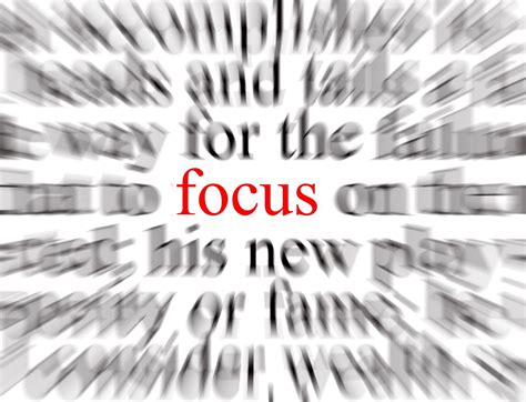 Focus on…